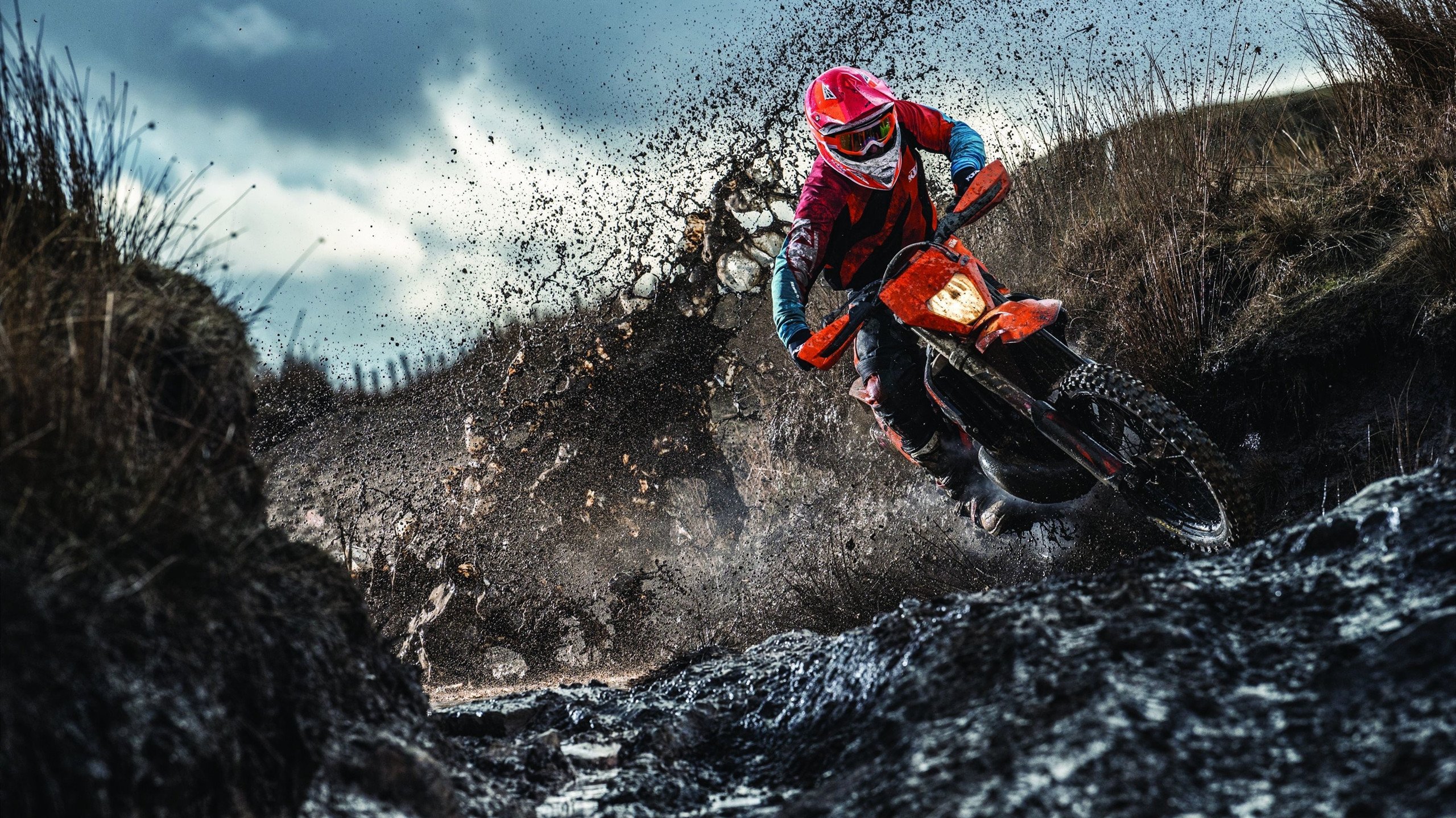 “彼得森的全能表现，让南非羚羊队如虎添翼”